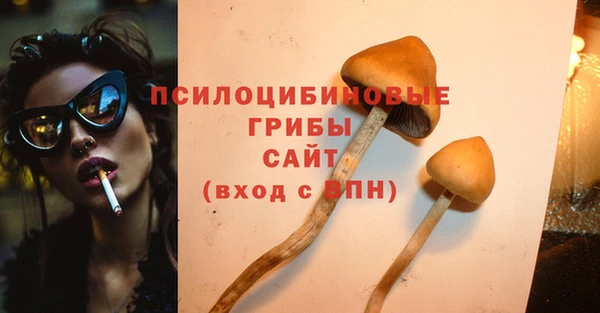 соль ск Алексин